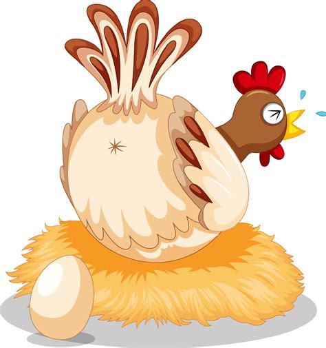 egg laying gif|Chicken Laying Eggs Cartoon GIFs .